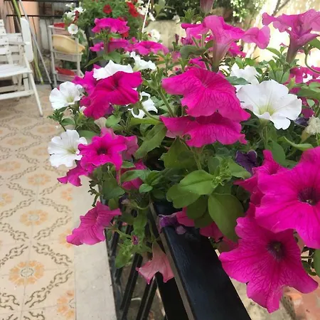 Simple And Very Apartment Olbia